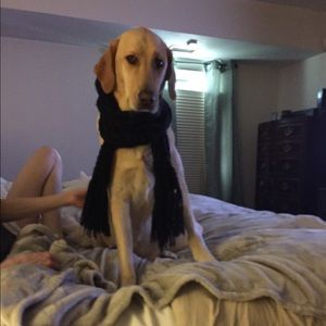 Meet your Posher, Daniel